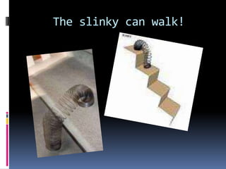 Slinky presentation | PPT