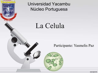 Universidad Yacambu
Núcleo Portuguesa
La Celula
Participante: Yasmelis Paz
 