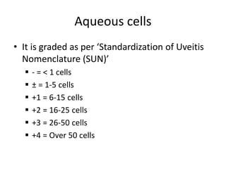 Aqueous cells
• It is graded as per ‘Standardization of Uveitis
Nomenclature (SUN)’
 - = < 1 cells
 ± = 1-5 cells
 +1 = 6-15 cells
 +2 = 16-25 cells
 +3 = 26-50 cells
 +4 = Over 50 cells
 