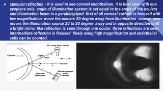 ● specular reflection - it is used to see corneal endothelium. it is best seen with one
eyepiece only. angle of illumination system is set equal to the angle of the oculars
and illumination beam is a parallelepiped. first of all corneal surface is focused with
low magnification. move the oculars 20 degree away from illumination source. now
moves the illumination source 20 to 30 degree away and in opposite direction until
a bright mirror like reflection is seen through one ocular. three reflections are seen.
intermediate reflection is focused finely using high magnification and endothelial
cells can be counted.
 