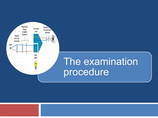 The examination
procedure
 