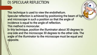 D) SPECULAR REFLECTION
This technique is used to view the endothelium.
Specular reflection is achieved by positioning the beam of light
and microscope in such a position so that the angle of
incidence is equal to the angle of reflection.
This method is monocular.
In this technique, position the illuminator about 30 degrees to
one side and the microscope 30 degrees to the other side. The
angle of the illuminator to the microscope must be equal and
opposite.
 