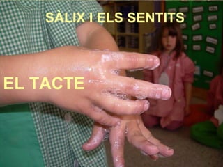 SÀLIX I ELS SENTITS EL TACTE 