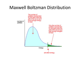 Maxwell Boltzman Distribution