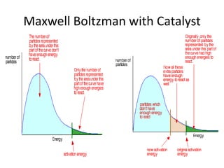 Maxwell Boltzman with Catalyst