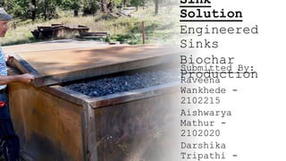 Sink
Solution
Engineered
Sinks
Biochar
Production
Submitted By:
Raveena
Wankhede -
2102215
Aishwarya
Mathur -
2102020
Darshika
Tripathi -
 