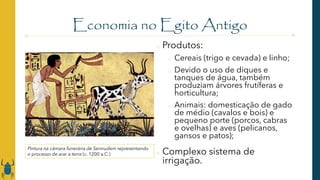Economia no Egito Antigo
o Produtos:
o Cereais (trigo e cevada) e linho;
o Devido o uso de diques e
tanques de água, também
produziam árvores frutíferas e
horticultura;
o Animais: domesticação de gado
de médio (cavalos e bois) e
pequeno porte (porcos, cabras
e ovelhas) e aves (pelicanos,
gansos e patos);
o Complexo sistema de
irrigação.
Pintura na câmara funerária de Sennudem representando
o processo de arar a terra (c. 1200 a.C.)
 