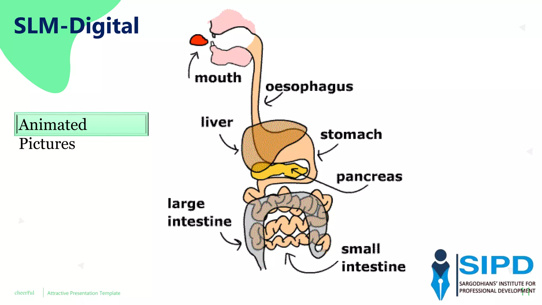 cheerFul Attractive Presentation Template 11
SLM-Digital
Animated
Pictures
 
