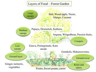 Sustainable Land Management in Practice 23.01.2023.pdf