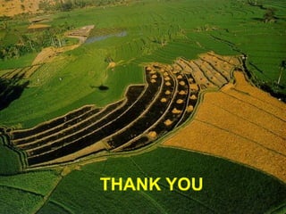 Sustainable Land Management | PDF