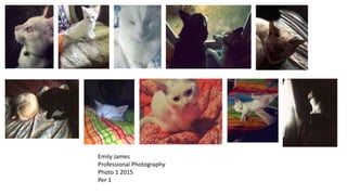 Emily James
Professional Photography
Photo 1 2015
Per 1
 