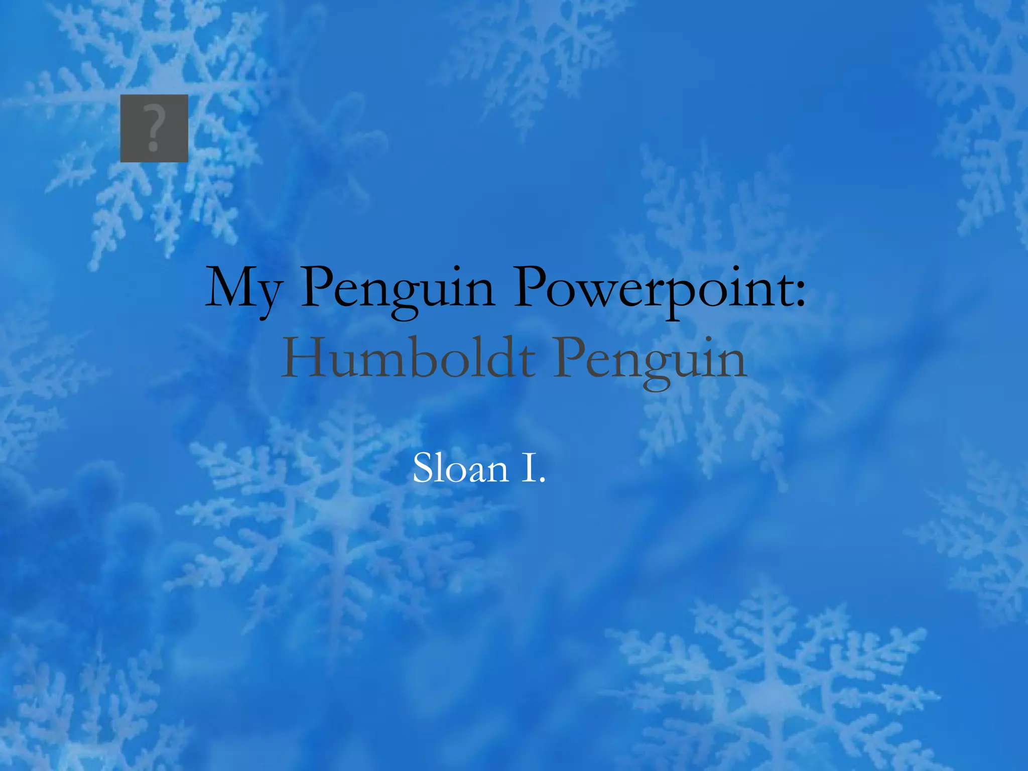 My Penguin Powerpoint: Humboldt Penguin Sloan I.