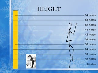 HEIGHT 6 inches 12 inches 18 inches 24 inches 30 inches 36 inches 42 inches 48 inches 52 inches 58 inches 64 inches