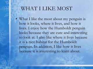 WHAT I LIKE MOST What I like the most about my penguin is how it looks, where it lives, and how it lives. I enjoy how the Humboldt penguin looks because they are cute and interesting to look at. I also like where it lives because it is a nice habitat for the Humboldt penguin. In addition, I like how it lives because it is interesting to learn about.