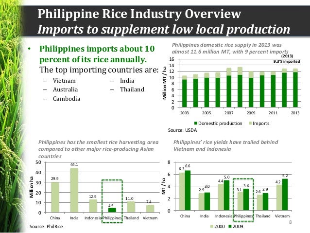 Rice farming business in the philippines picture