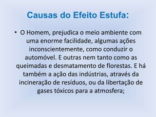 Causas do Efeito Estufa:
• O Homem, prejudica o meio ambiente com
uma enorme facilidade, algumas ações
inconscientemente, como conduzir o
automóvel. E outras nem tanto como as
queimadas e desmatamento de florestas. E há
também a ação das indústrias, através da
incineração de resíduos, ou da libertação de
gases tóxicos para a atmosfera;
 