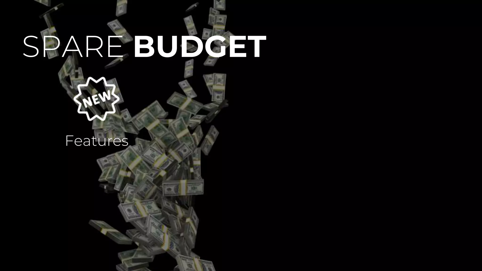 SPARE BUDGET
Features
 