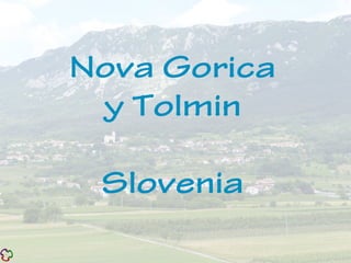 Nova Gorica
y Tolmin
Slovenia
 