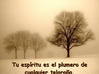 Tu espíritu es el plumero de cualquier telaraña. 