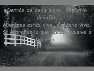 Detrás de cada logro, hay otro desafío. Mientras estés viva, siéntete viva. Si extrañas lo que hacías, vuelve a hacerlo.   