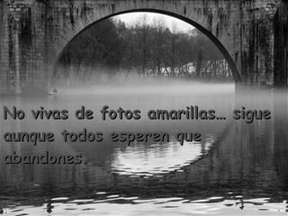 No vivas de fotos amarillas… sigue aunque todos esperen que abandones.  