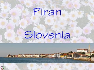Piran
Slovenia
 