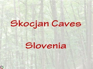 Skocjan Caves
Slovenia
 
