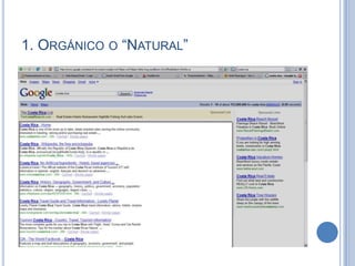 SóLo Sé Que No Seo Nada