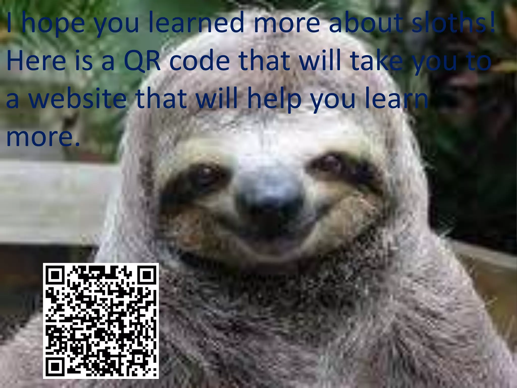 I hope you learned more about sloths!
Here is a QR code that will take you to
a website that will help you learn
more.
 