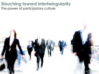 Slouching toward intertwingularity
The power of participatory culture




Stephen Collins                      acidlabs