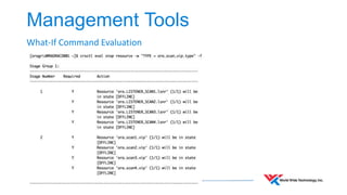 Management Tools 
What-If Command Evaluation 
 