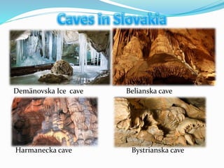 Demänovska Ice cave Belianska cave
Harmanecka cave Bystrianska cave
 