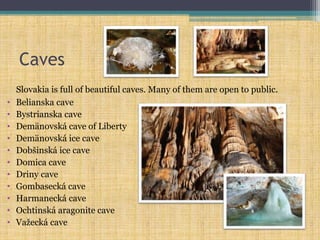 Caves
Slovakia is full of beautiful caves. Many of them are open to public.
• Belianska cave
• Bystrianska cave
• Demänovská cave of Liberty
• Demänovská ice cave
• Dobšinská ice cave
• Domica cave
• Driny cave
• Gombasecká cave
• Harmanecká cave
• Ochtinská aragonite cave
• Važecká cave
 