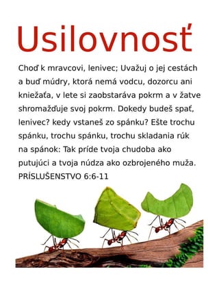 Slovak Motivational Diligence Tract.pdf