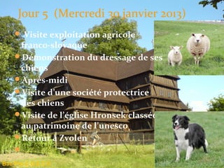 Jour 5 (Mercredi 30 janvier 2013)
     Visite exploitation agricole 
     franco-slovaque
    Démonstration du dressage de ses 
     chiens
    Aprés-midi
    Visite d’une société protectrice 
     des chiens
    Visite de l’église Hronsek classée 
     au patrimoine de l’unesco
    Retour à Zvolen
    
Bac Pro C.G.E.C.F.
 