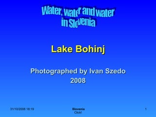 Lake Bohinj Photographed by Ivan Szedo 2008 Water, water and water in Slovenia 