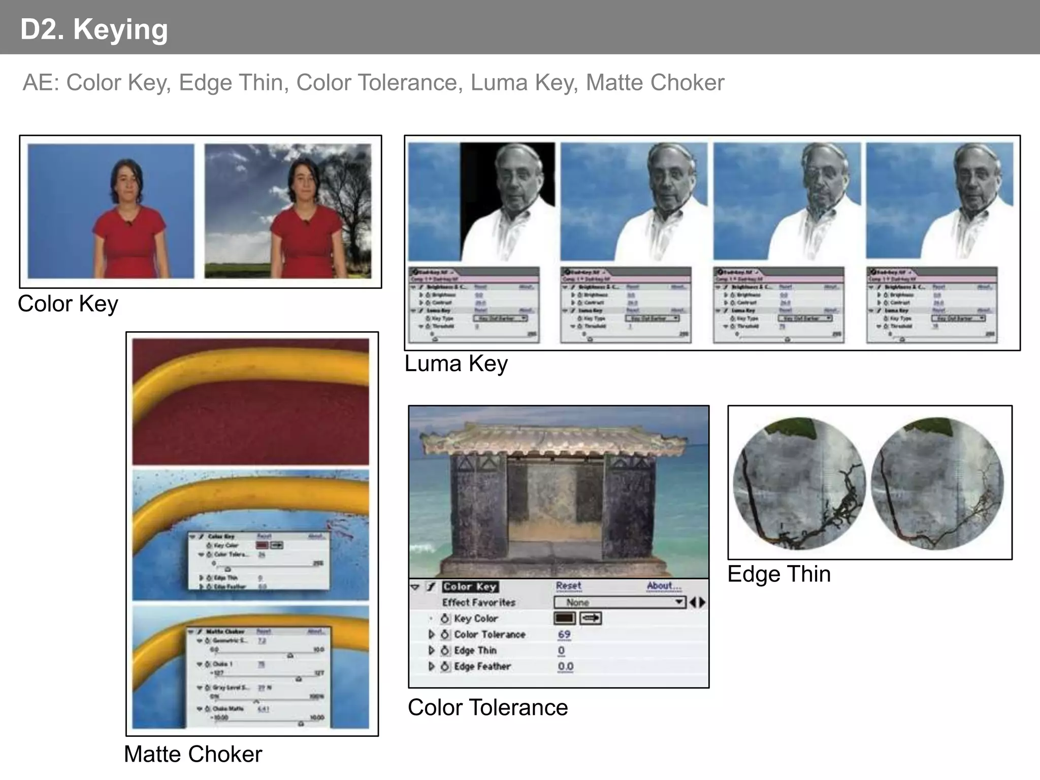 D2. Keying
AE: Color Key, Edge Thin, Color Tolerance, Luma Key, Matte Choker




Color Key

                                   Luma Key




                                                                    Edge Thin




                                   Color Tolerance

            Matte Choker
 