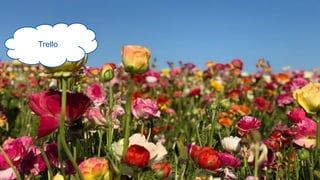 10/8/2019 Document reference 8
Trello
 