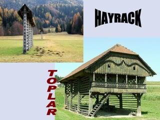 HAYRACK TOPLAR 
