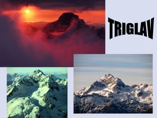 TRIGLAV 