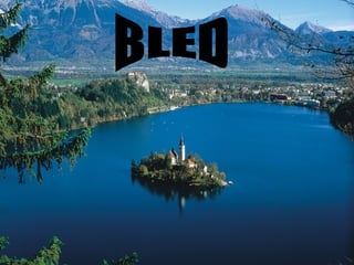 BLED 