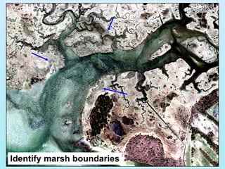 Identify marsh boundaries 