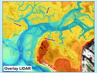 Overlay LIDAR 