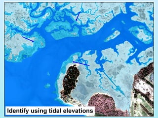 Identify using tidal elevations 