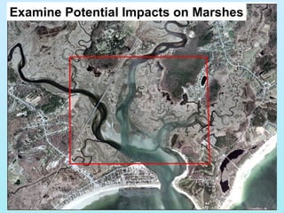 Examine Potential Impacts on Marshes 