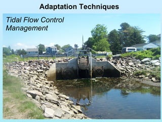 Adaptation Techniques Tidal Flow Control Management 