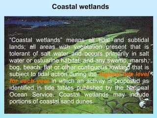 “ Coastal wetlands” means all tidal and subtidal lands; all areas with vegetation present that is tolerant of salt water and occurs primarily in salt water or estuarine habitat; and any swamp, marsh, bog, beach, flat or other contiguous lowland that is subject to tidal action during the  highest tide level for each year  in which an activity is proposed as identified in tide tables published by the National Ocean Service. Coastal wetlands may include portions of coastal sand dunes. Coastal wetlands   