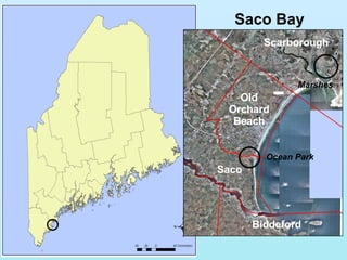 Saco Bay Ocean Park Scarborough Old Orchard Beach Marshes Saco Biddeford 