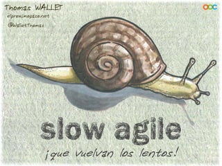Slow agile
¡que vuelvan los lentos!
Thomas WALLET
elproximopaso.net
@WalletThomas
 