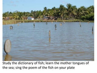 Study the dictionary of fish; learn the mother tongues of 
the sea; sing the poem of the fish on your plate 
 